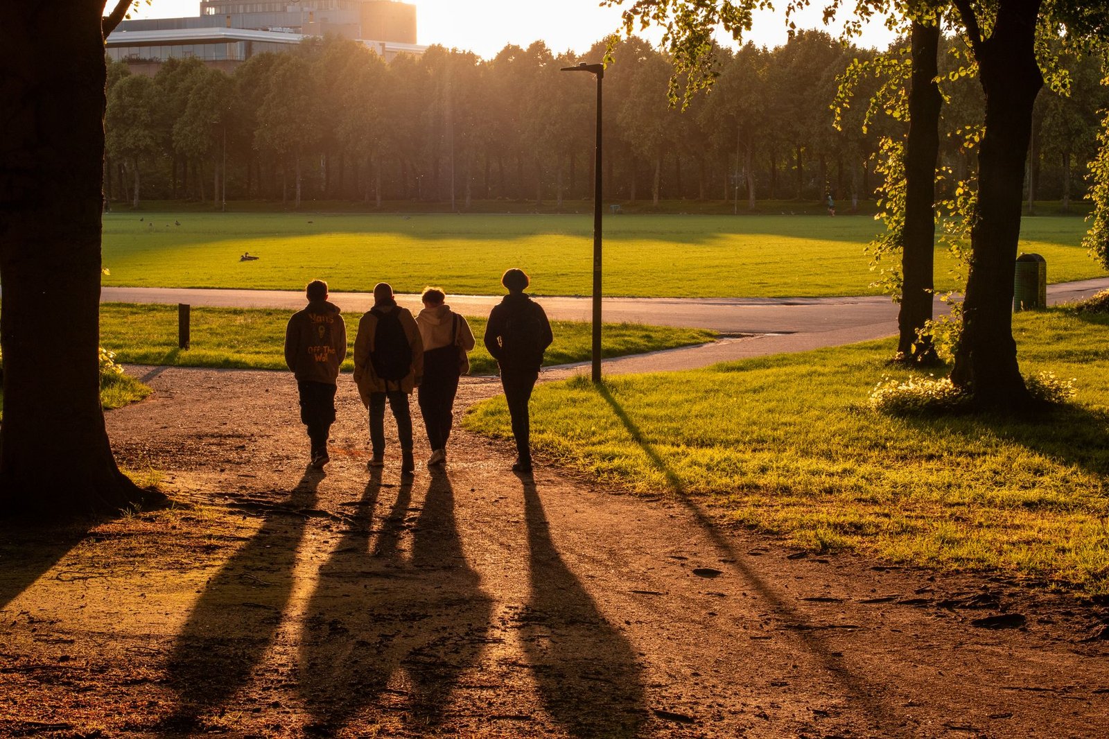Four people walking in a sunlit park in The Hague, Netherlands, during sunset.
