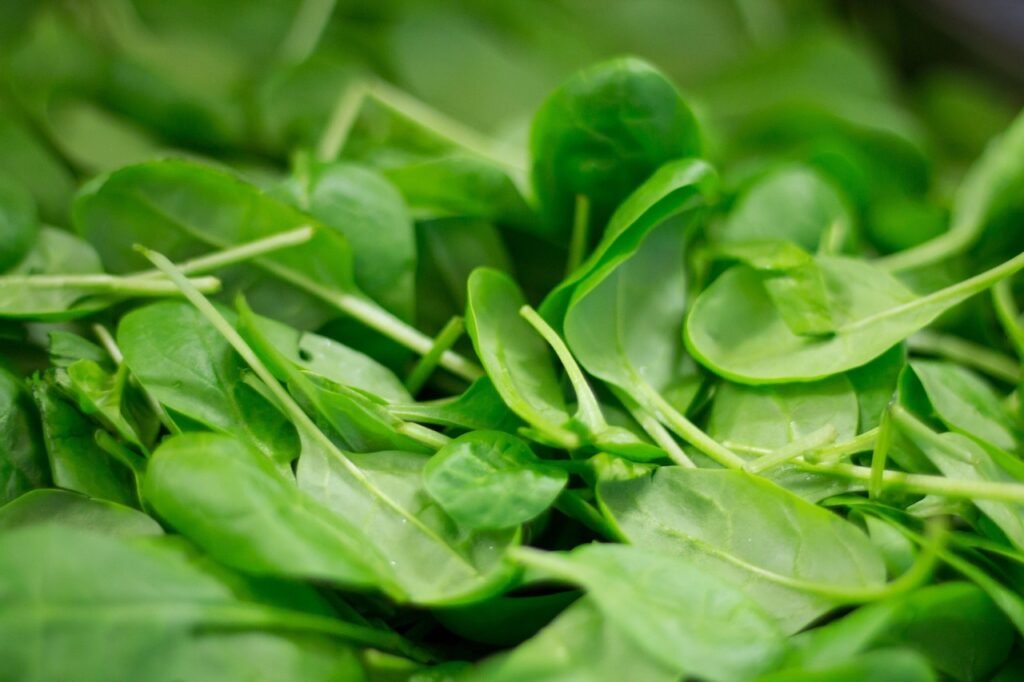 spinazie, plant, natuur, voeding, maaltijd, vers, gezond, bio, eten, groenten, koken, gekleurd, genieten van, lekker, vitamin
