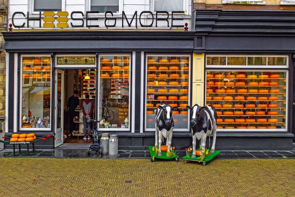 kaas, winkel, kaasfabriek, gouda, delft, nederland, holland, gastronomie, bruin winkelen, bruin shop, gouda, gouda, gouda, go