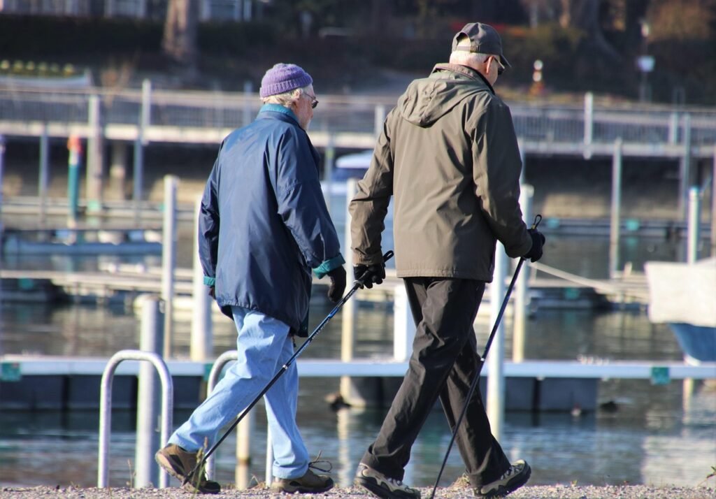 senior, wandeling, pensioen, park, ontspanning, nordic walking, samen, strand, water, stemming, twee, het, opa, gesprek, geme