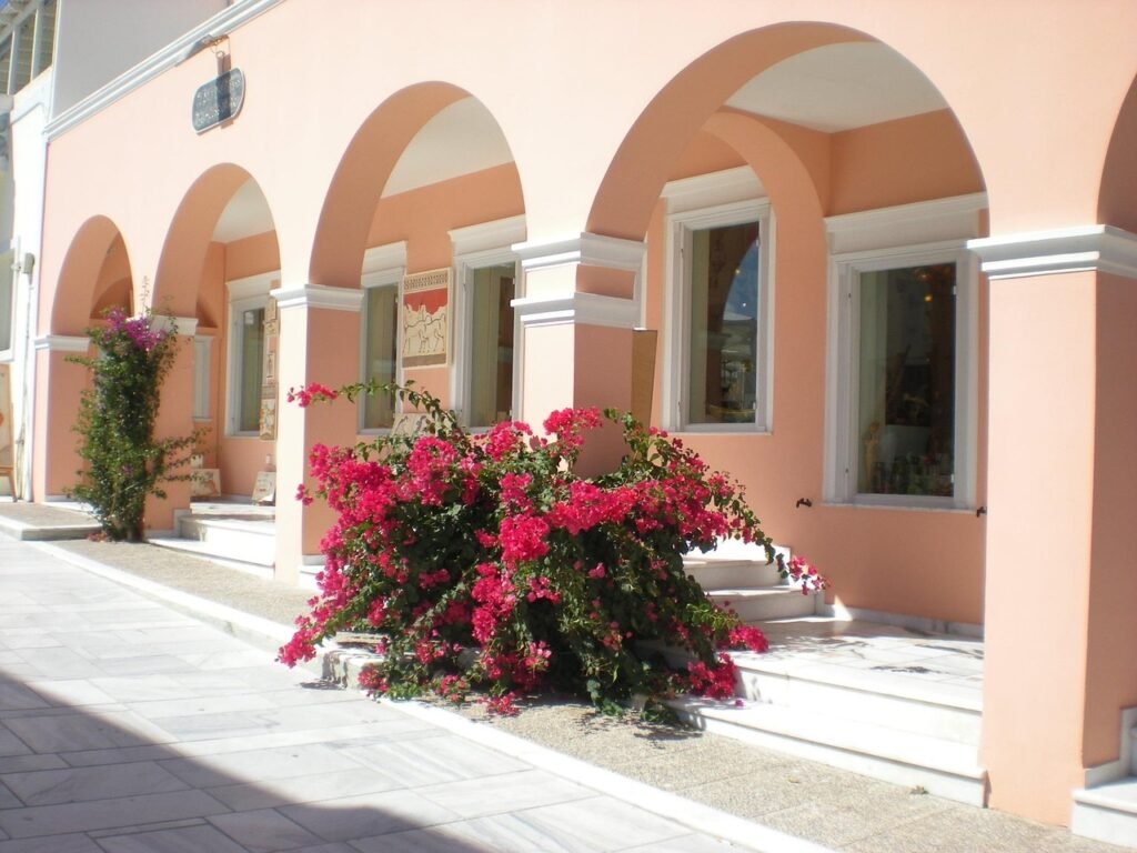 santorini, bloemen, grieks eiland, griekenland, marine, bloem achtergrond, street view, natuur, bloem behang, mooie bloemen,