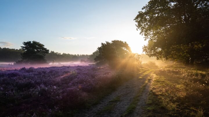 Escortbooking in De Wolden: etiquette voor heldere communicatie en respect
