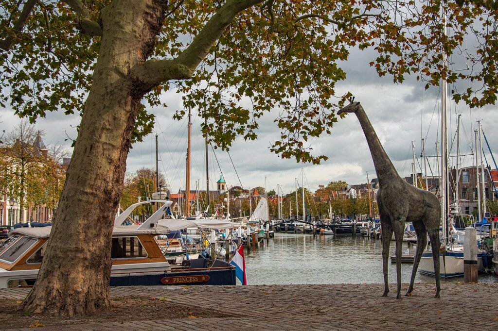 dordrecht, nederland, haven, architectuur, boten, holland, water, binnenwateren, natuur, toerisme