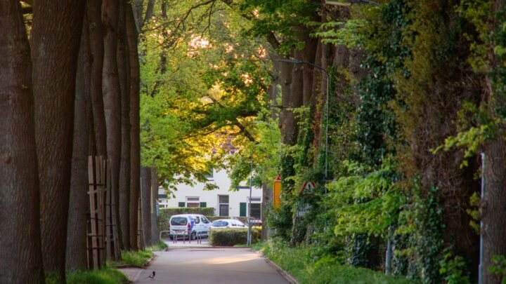 Wat je moet vergelijken voor je kiest voor experience in Heerlen