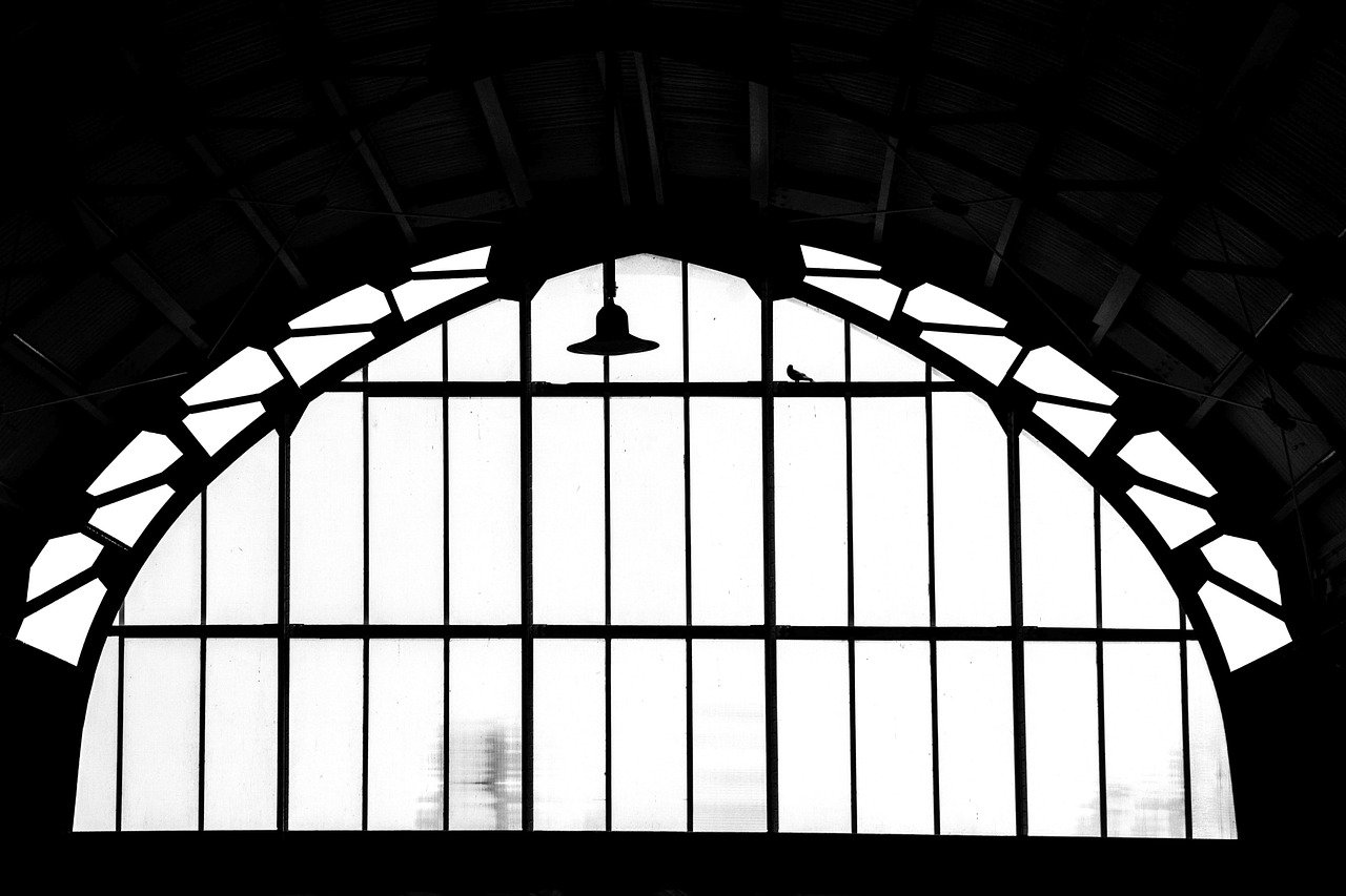 station, natuur, haarlem, vogel