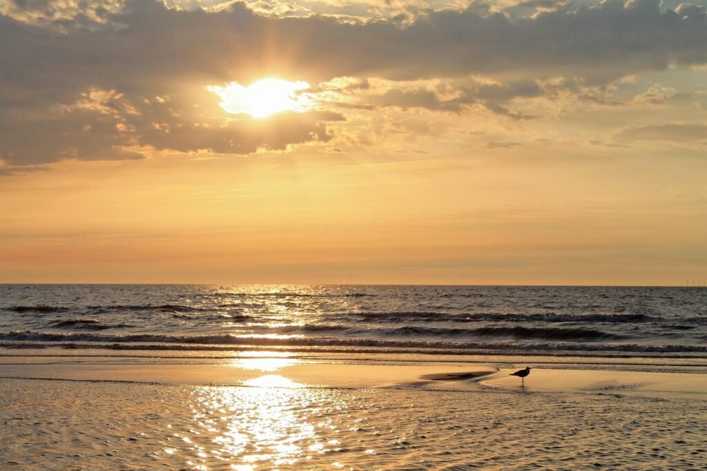 noordzee, zonsondergang, gouden, zandbank, katwijk, natuur, avond sfeer, avondlucht, zomer, zee, zon, wolken, atmosferisch, o