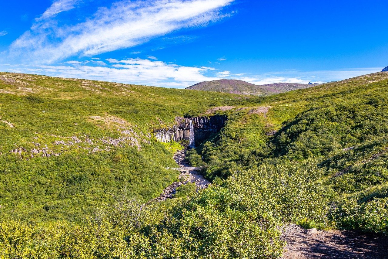 waterval, ijsland, weergave, reizen, tour, dating, bezienswaardigheden bekijken, lucht, het werkgebied, natuur, water, landsc