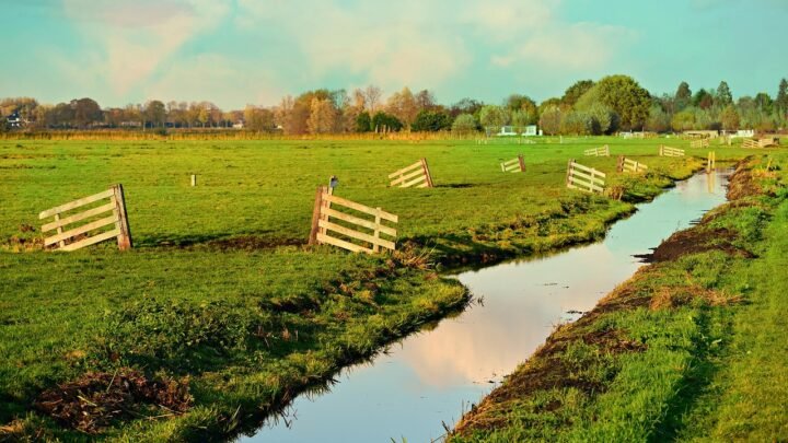 Wat je moet weten over meet in Amstelveen