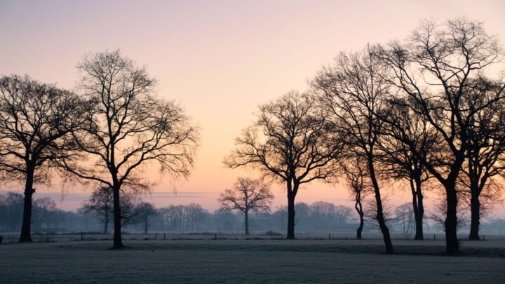 Respectvol een escort boeken in Dinkelland: zo doe je het goed